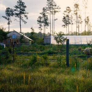 hoop housing on farm at dusk